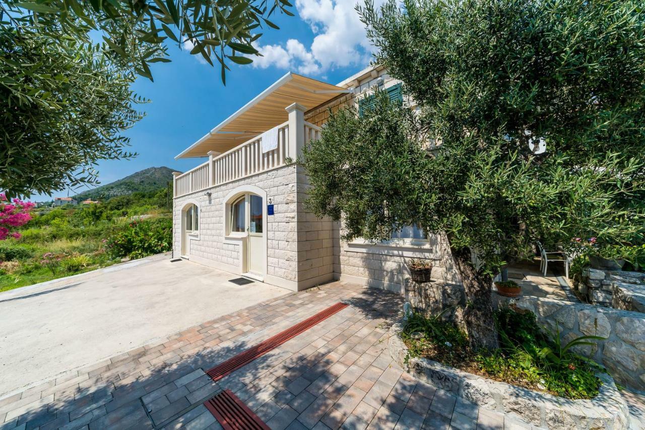 Villa La Vagabonda Orašac Exteriör bild